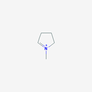 molecular formula C5H10N+ B100335 1-甲基吡咯铵 CAS No. 16032-02-3