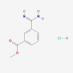 molecular formula C9H11ClN2O2 B101162 3-氨甲酰基苯甲酸甲酯盐酸盐 CAS No. 18219-39-1