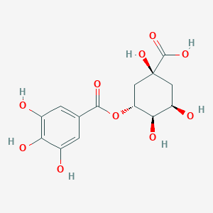 molecular formula C14H16O10 B101446 茶碱 CAS No. 17365-11-6