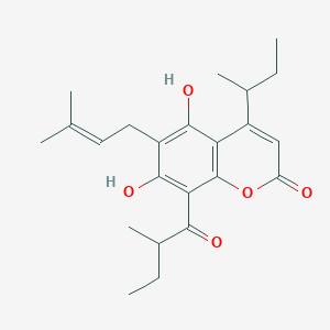 molecular formula C23H30O5 B101478 Ferruol A CAS No. 16117-33-2