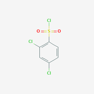 molecular formula C6H3Cl3O2S B102000 2,4-二氯苯磺酰氯 CAS No. 16271-33-3