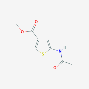 molecular formula C8H9NO3S B102895 Methyl 5-acetamidothiophene-3-carboxylate CAS No. 89499-32-1