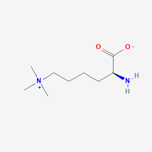 molecular formula C9H20N2O2 B103232 N-Trimethyllysine CAS No. 19253-88-4