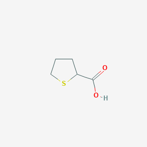 molecular formula C5H8O2S B103254 四氢噻吩-2-羧酸 CAS No. 19418-11-2