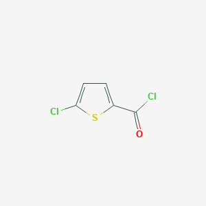 molecular formula C5H2Cl2OS B104058 5-Chlorothiophene-2-carbonyl chloride CAS No. 42518-98-9
