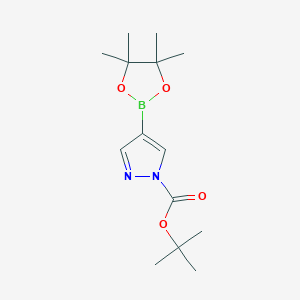molecular formula C14H23BN2O4 B104235 叔丁基4-(4,4,5,5-四甲基-1,3,2-二氧杂硼环-2-基)-1H-吡唑-1-羧酸酯 CAS No. 552846-17-0