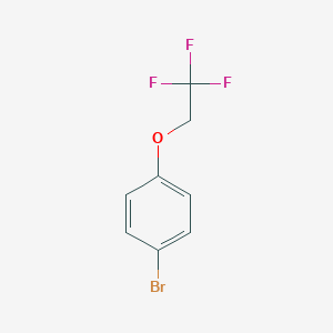 molecular formula C8H6BrF3O B010556 1-Bromo-4-(2,2,2-trifluoroethoxy)benzene CAS No. 106854-77-7