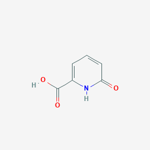 molecular formula C6H5NO3 B010676 6-羟基吡啶甲酸 CAS No. 19621-92-2