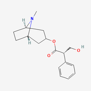 Hyoscyamine