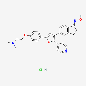 molecular formula C28H28ClN3O3 B10755646 N-[5-[5-[4-[2-(dimethylamino)ethoxy]phenyl]-2-pyridin-4-ylfuran-3-yl]-2,3-dihydroinden-1-ylidene]hydroxylamine;hydrochloride 