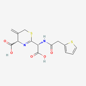 molecular formula C14H14N2O5S2 B10756209 2-[Carboxy-(2-thiophen-2-YL-acetylamino)-methyl]-5-methylene-5,6-dihydro-2H-[1,3]thiazine-4-carboxylic acid 