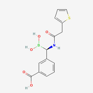 (1R)-1-(2-Thienylacetylamino)-1-(3-carboxyphenyl)methylboronic acid