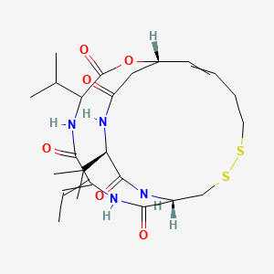 molecular formula C24H36N4O6S2 B10756349 (1S,10S,21R)-7-ethylidene-4,21-di(propan-2-yl)-2-oxa-12,13-dithia-5,8,20,23-tetrazabicyclo[8.7.6]tricos-16-ene-3,6,9,19,22-pentone 