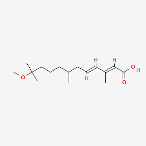 molecular formula C16H28O3 B10756699 (2E,4E)-11-Methoxy-3,7,11-trimethyldodeca-2,4-dienoic acid CAS No. 40596-67-6