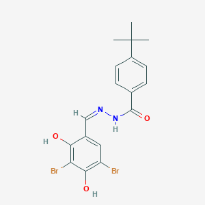 molecular formula C18H18Br2N2O3 B10759177 4-tert-butyl-N-[(Z)-(3,5-dibromo-2,4-dihydroxyphenyl)methylideneamino]benzamide 