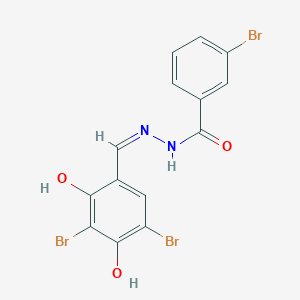 3-bromo-N-[(Z)-(3,5-dibromo-2,4-dihydroxyphenyl)methylideneamino]benzamide