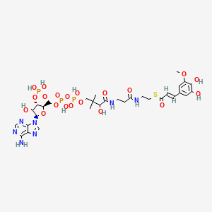 Feruloyl coenzyme A