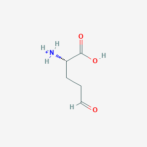 Glutamyl group