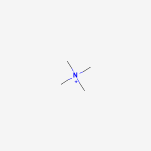 molecular formula C4H12N+ B10760175 Tetramethylammonium CAS No. 19269-48-8