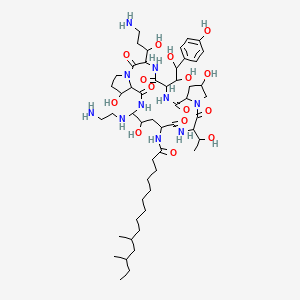 molecular formula C52H88N10O15 B10761612 N-[21-(2-aminoethylamino)-3-(3-amino-1-hydroxypropyl)-6-[1,2-dihydroxy-2-(4-hydroxyphenyl)ethyl]-11,20,25-trihydroxy-15-(1-hydroxyethyl)-2,5,8,14,17,23-hexaoxo-1,4,7,13,16,22-hexazatricyclo[22.3.0.09,13]heptacosan-18-yl]-10,12-dimethyltetradecanamide 