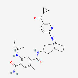 molecular formula C29H37N5O3 B10761783 N1-[8-(5-cyclopropanecarbonylpyridin-2-yl)-8-azabicyclo[3.2.1]octan-3-yl]-2-methyl-5-(sec-butylamino)benzene-1,4-dicarboxamide 