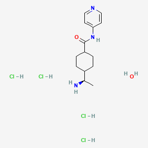 molecular formula C14H27Cl4N3O2 B10761967 4-[(1R)-1-aminoethyl]-N-pyridin-4-ylcyclohexane-1-carboxamide;hydrate;tetrahydrochloride 