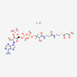 Malonyl Coenzyme A (lithium salt)