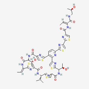 2-[2-[(19S,26Z,29S)-26-ethylidene-12,29-bis[(1R)-1-hydroxyethyl]-14,21,28,31-tetraoxo-19-propan-2-yl-10,17,24,34-tetrathia-6,13,20,27,30,35,36,37,38-nonazahexacyclo[30.2.1.18,11.115,18.122,25.02,7]octatriaconta-1(35),2(7),3,5,8,11(38),15,18(37),22,25(36),32-undecaen-5-yl]-1,3-thiazol-4-yl]-N-[(Z)-1-[[(2R)-2-hydroxypropyl]amino]-1-oxobut-2-en-2-yl]-1,3-thiazole-4-carboxamide