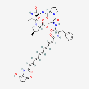 (2E,4E,6E,8E,10E)-N-(2-hydroxy-5-oxocyclopenten-1-yl)-N'-[1-oxo-3-phenyl-1-[[(3S,7S,9R,16S,19S)-9,13,16,17-tetramethyl-2,6,12,15,18-pentaoxo-5-oxa-1,11,14,17-tetrazatricyclo[17.3.0.07,11]docosan-3-yl]amino]propan-2-yl]dodeca-2,4,6,8,10-pentaenediamide