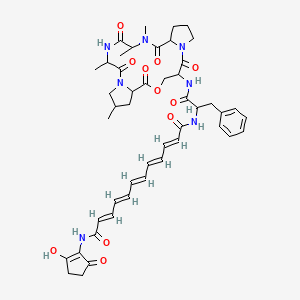 (2E,4E,6E,8E,10E)-N-(2-hydroxy-5-oxocyclopenten-1-yl)-N'-[1-oxo-3-phenyl-1-[(9,13,16,17-tetramethyl-2,6,12,15,18-pentaoxo-5-oxa-1,11,14,17-tetrazatricyclo[17.3.0.07,11]docosan-3-yl)amino]propan-2-yl]dodeca-2,4,6,8,10-pentaenediamide