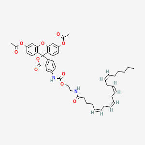 [6'-acetyloxy-5-[2-[[(5Z,8Z,11Z,14Z)-icosa-5,8,11,14-tetraenoyl]amino]ethoxycarbonylamino]-3-oxospiro[2-benzofuran-1,9'-xanthene]-3'-yl] acetate