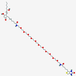 Prostaglandin E2-PEG11-Biotinamide
