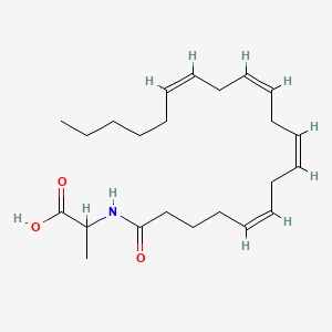 2-[[(5Z,8Z,11Z,14Z)-icosa-5,8,11,14-tetraenoyl]amino]propanoic acid