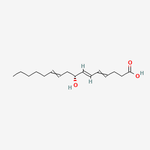 (6E,8R)-8-hydroxyhexadeca-4,6,10-trienoic acid