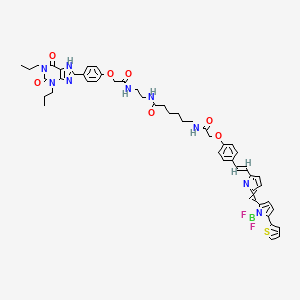 molecular formula C50H54BF2N9O7S B10771109 Xac-BY630 