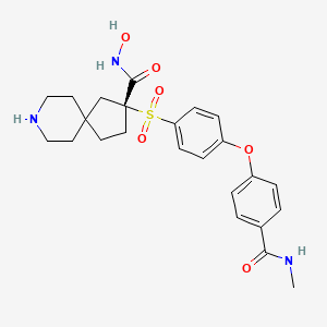 (2R)-N-hydroxy-2-{4-[4-(methylcarbamoyl)phenoxy]benzenesulfonyl}-8-azaspiro[4.5]decane-2-carboxamide