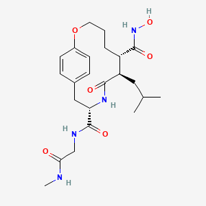 molecular formula C23H34N4O6 B10772838 (6S,7R,10S)-6-N-hydroxy-10-N-[2-(methylamino)-2-oxoethyl]-7-(2-methylpropyl)-8-oxo-2-oxa-9-azabicyclo[10.2.2]hexadeca-1(14),12,15-triene-6,10-dicarboxamide 