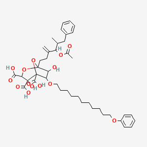 molecular formula C42H56O14 B10773280 1-(4-acetyloxy-5-methyl-3-methylidene-6-phenylhexyl)-4,7-dihydroxy-6-(11-phenoxyundecoxy)-2,8-dioxabicyclo[3.2.1]octane-3,4,5-tricarboxylic acid 