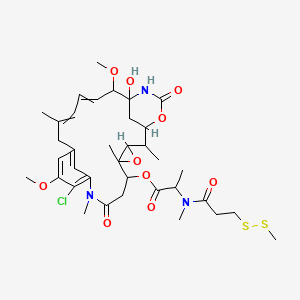 molecular formula C36H50ClN3O10S2 B10775977 (11-Chloro-21-hydroxy-12,20-dimethoxy-2,5,9,16-tetramethyl-8,23-dioxo-4,24-dioxa-9,22-diazatetracyclo[19.3.1.110,14.03,5]hexacosa-10,12,14(26),16,18-pentaen-6-yl) 2-[methyl-[3-(methyldisulfanyl)propanoyl]amino]propanoate 