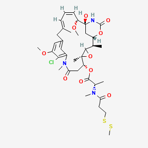 molecular formula C36H50ClN3O10S2 B10776139 [(1S,2R,5S,6R,16E,18Z,20R,21S)-11-chloro-21-hydroxy-12,20-dimethoxy-2,5,9,16-tetramethyl-8,23-dioxo-4,24-dioxa-9,22-diazatetracyclo[19.3.1.110,14.03,5]hexacosa-10,12,14(26),16,18-pentaen-6-yl] (2S)-2-[methyl-[3-(methyldisulfanyl)propanoyl]amino]propanoate 