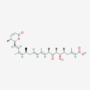 molecular formula C32H46O6 B10776152 (2E,5R,6S,7R,9S,10E,12E,15S,16Z,18E)-6-hydroxy-3,5,7,9,11,15,17-heptamethyl-19-[(2R,3R)-3-methyl-6-oxo-2,3-dihydropyran-2-yl]-8-oxononadeca-2,10,12,16,18-pentaenoic acid 