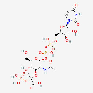 3'-1-Carboxy-1-phosphonooxy-ethoxy-uridine-diphosphate-N-acetylglucosamine