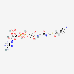 molecular formula C32H47N8O17P3S B10776747 4-(N,N-Dimethylamino)cinnamoyl-CoA 