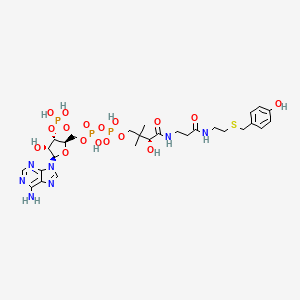 molecular formula C28H42N7O17P3S B10776806 4-Hydroxybenzyl coenzyme A 