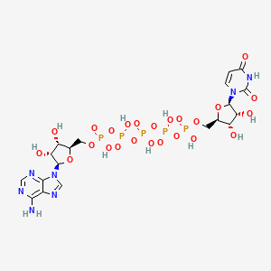 molecular formula C19H28N7O24P5 B10777151 P1-(Adenosine-5'-P5-(uridine-5')pentaphosphate 