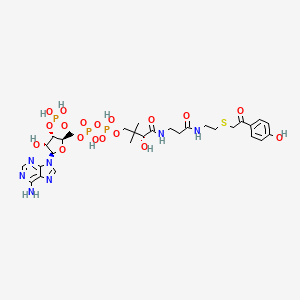 4-Hydroxyphenacyl coenzyme A