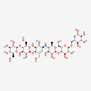 molecular formula C37H63NO28 B10777210 (2S,3S,4R,5R,6S)-6-[[(2R,3R,4R,5S,6S)-5-[(2S,3R,4S,5S,6R)-5-[[(1S,4R,5S,6R)-4-[(2R,3R,4R,5S,6R)-3,4-dihydroxy-6-(hydroxymethyl)-5-[(2R,3S,4R,5R,6S)-3,4,5-trihydroxy-6-(hydroxymethyl)oxan-2-yl]oxyoxan-2-yl]oxy-5,6-dihydroxy-3-(hydroxymethyl)cyclohex-2-en-1-yl]amino]-3,4-dihydroxy-6-methyloxan-2-yl]oxy-3,4-dihydroxy-6-(hydroxymethyl)oxan-2-yl]oxymethyl]oxane-2,3,4,5-tetrol 