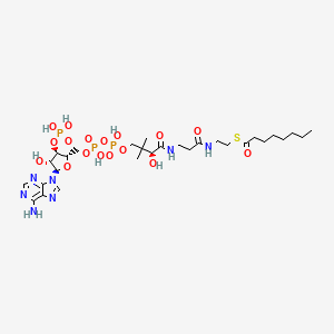 S-[2-[3-[[(2S)-4-[[[(2S,3R,4R,5R)-5-(6-aminopurin-9-yl)-4-hydroxy-3-phosphonooxyoxolan-2-yl]methoxy-hydroxyphosphoryl]oxy-hydroxyphosphoryl]oxy-2-hydroxy-3,3-dimethylbutanoyl]amino]propanoylamino]ethyl] octanethioate