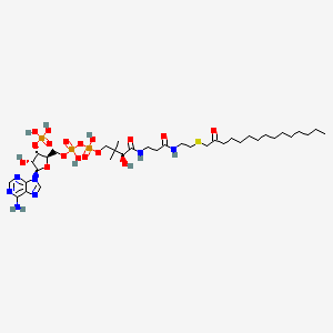 molecular formula C36H64N7O17P3S B10778316 S-(2-Oxo)pentadecylcoa 