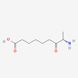 7-Keto-8-aminopelargonic acid